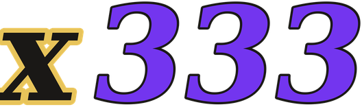 x333 logo